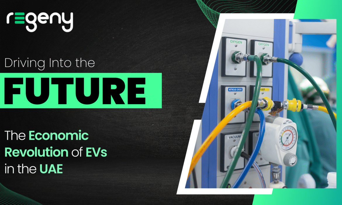Driving Into the Future: The Economic Revolution of EVs in the UAE