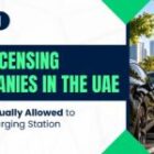 CPO Licensing Companies in the UAE: Who’s Actually Allowed to Run a Charging Station